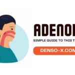 Adenoidid