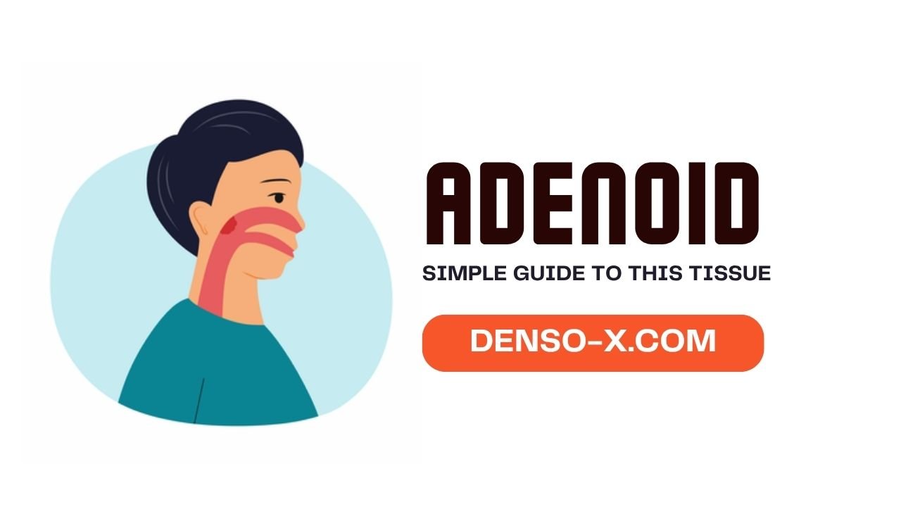 Adenoidid